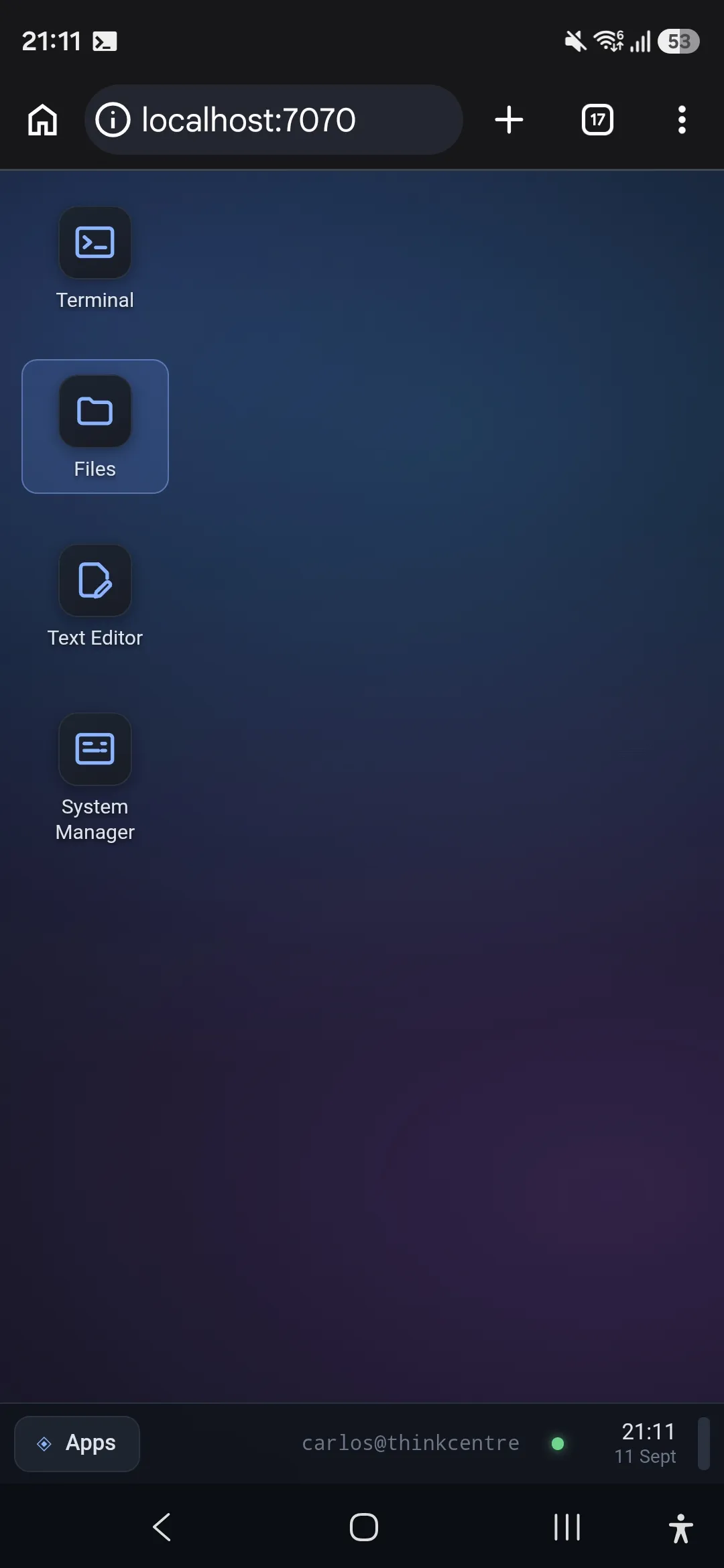 Finestra open in a phone browser at localhost:7070 — Terminal, Files, Text Editor and System Manager icons on the desktop, with the taskbar showing carlos@thinkcentre.